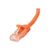 StarTech.com 1.5 m CAT6 Cable Orange Patch UTP N6PATC150CMOR