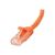 StarTech.com 7.5 m CAT6 Cable Orange Patch UTP N6PATC750CMOR
