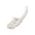 StarTech.com 7.5 m CAT6 Cable White Patch UTP N6PATC750CMWH