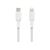 Belkin BOOST CHARGE Lightning cable USB-C CAA004BT2MWH
