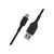 Belkin BOOST CHARGE USB cable USB-C (M)  CAB002BT1MBK