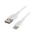 Belkin BOOST CHARGE USB cable USB-C (M) to CAB001BT1MWH