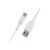 Belkin BOOST CHARGE USB cable USB-C (M) to CAB001BT3MWH