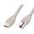 ASSMANN USB cable USB (M) to USB Type B 5m AK-300105-050-E