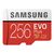 Samsung EVO Plus   Flash memory 256GB MB-MC256HAEU