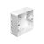 DeLOCK Back Box Network surface mount box white 86128
