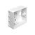 DeLOCK Back Box Network surface mount box white 86128