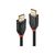 Lindy DP cable 1.2 15M 4K black 41079