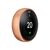 Nest Learning Thermostat 3rd generation T3031EX