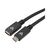 V7 USB extension cable USBC (M) to USB-C (F) 2 m V7UC3EXT-2M