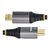 StarTech.com  5m HDMI 2.1 Cable, Certified HDMM21V5M