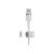 Belkin BOOST CHARGE Lightning cable USB  to Lightning 1m white