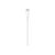 Apple USBC Charge Cable USB cable USB-C (M) to USB-C 1m MM093ZMA