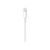 Apple USBC to Lightning Cable Lightning cable USB-C MM0A3ZM A