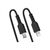 StarTech.com 50cm20in USB C to Lightning Cable RUSB2CLT50CMBC