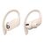Beats Powerbeats Pro True wireless earphones with mic MY5D2ZM A