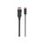 Manhattan USBC to DisplayPort Cable 152471