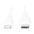 DIGITUS Lightning cable 24 pin USB-C  DB-600109-010-W