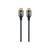 Manhattan HDMI Cable with Ethernet 355933