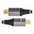 StarTech.com 0.5m Premium Certified HDMI 2.0 Cable 2.0 HDMMV50CM