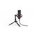 ENDORFY Solum T, PC microphone, 18 - 21000 Hz, 24 bit, 48 kHz, Wired, USB