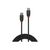 Lindy Black Line USB cable USBC (M) to USBC (M) USB 3.1 36907
