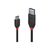 Lindy Black Line USB cable USBC (M) to USB Type A (M) 36915