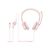 Logitech H390 Headset onear wired USBA 981001281