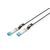 DIGITUS Professional 10GBase direct attach cable SFP+ DN81222