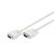 ASSMANN Serial cable DB9 (M) to DB9 (M) 2 m AK610107020E