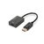 Assmann Video converter DisplayPort HDMI AK340415002S
