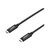 Lindy USB cable USB Type A (M) to USB Type A (M) USB 3.1 43308