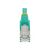 StarTech.com 7.5m CAT6a Ethernet Cable - A | NLAQ-750-CAT6A-PATCH