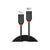 Lindy Black Line - DisplayPort cable - DisplayPort (M) to | 36490