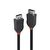 Lindy Black Line - DisplayPort cable - DisplayPort (M) to | 36490
