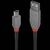 Lindy Anthra Line - USB cable - USB (M) to mini-USB Type  | 36725