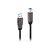 Lindy - USB cable - USB Type A (M) to USB Type B (M) - US | 43098