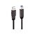 Lindy - USB cable - USB Type A (M) to USB Type B (M) - US | 43098