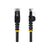StarTech.com 2m LSZH CAT6 Ethernet Cable, 10 Gigab | N6LPATCH2MBK