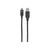 Manhattan USB-C to USB-A Cable, 1m, Male to Male, 10 Gbp | 353373