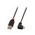 Lindy - USB cable - USB (M) to Micro-USB Type B (M) - USB | 31976