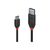 Lindy Black Line - USB cable - USB Type A (M) to USB-C (M | 36914