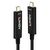 Lindy Fibre Optic Hybrid USB Type C Video Cable - USB cab | 38503