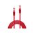Lindy Basic - Patch cable - RJ-45 (M) to RJ-45 (M) - 30 c | 47360