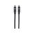 Manhattan USB-C to USB-C Cable, 2m, Male to Male, Black, | 354905