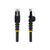 StarTech.com 3m LSZH CAT6 Ethernet Cable, 10 Gigab | N6LPATCH3MBK