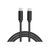 LogiLink - USB cable - 24 pin USB-C (M) to 24 pin USB-C  | CU0129