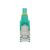 StarTech.com 10m CAT6a Ethernet Cable - Aq | NLAQ-10M-CAT6A-PATCH