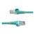StarTech.com 10m CAT6a Ethernet Cable - Aq | NLAQ-10M-CAT6A-PATCH