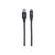 Manhattan USB-C to USB-A Cable, 3m, Male to Male, 5 Gbps | 354981